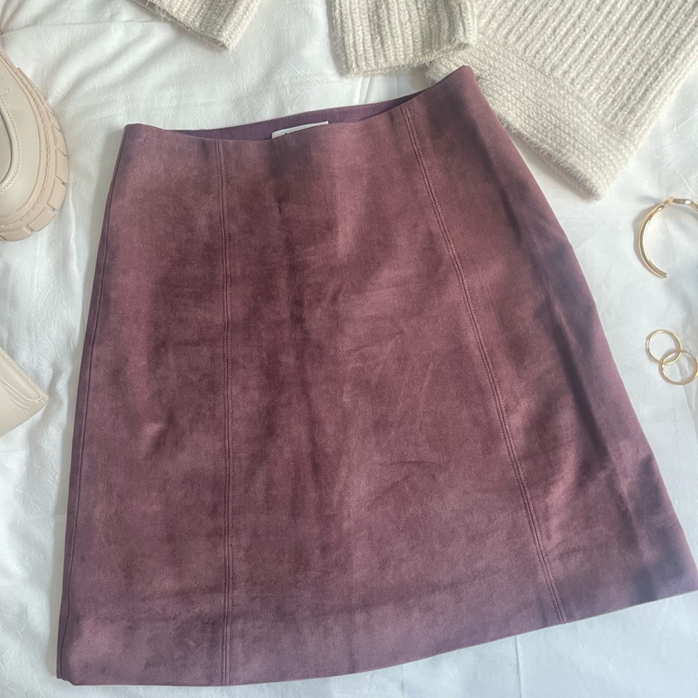 ARITZIA BABATON Modern Mini Skirt